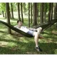 Tūrisma šūpuļtīkls ar brezentu un moskītu tīklu 260x140cm | Tourist Hammock