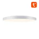 Viedais griestu gaismeklis Gosund LB11 32cm WiFi/Bluetooth RGBCW 1920lm ar pulti