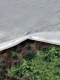 Agroplēve ORTOCLIMA 17 g/m², 1.60 x 5 m, balta