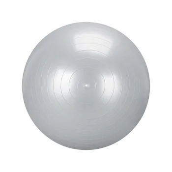 Fitnesa vingrošanas gumijas bumba ar pumpi 65cm, sudraba | Exercise Fitness Gym Ball