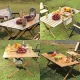 Alumīnija saliekamais piknika tūrisma galds, 120x60cm | Aluminium Picnic Folding Table