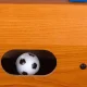 Bērnu Spēle Rotaļlieta Galda Futbols, 51x31cm | Table Football Soccer