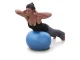 Fitnesa vingrošanas gumijas bumba ar pumpi 65cm, sudraba | Exercise Fitness Gym Ball