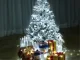 Gaismas aizkars 500 LED auksti balts IP44