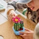LEGO Botanicals 11509 Ziedošs kaktuss