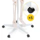 4Fizjo Cilvēka skeleta anatomiskais modelis 180 cm