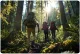 Neo-Sport NS-380 Teleskopiskās Trekkinga Nūjas 65-135 cm