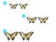 Brilles palielināmās ar maināmām lēcām 1.5x 2.5x 3.5x