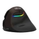 Delux M618 Mini bezvadu ergonomiskā vertikālā pele