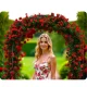 Plonos Dārza Pergola Arka 240 cm - Eleganta Dekorācija