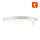 Viedais griestu gaismeklis Gosund LB11 32cm WiFi/Bluetooth RGBCW 1920lm ar pulti