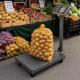 Platformas svari ar LCD displeju, 100 kg, pelēki