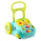 Attīstošais staigulis ar mūziku 2-in-1 Ricokids RK-744, tirkīza