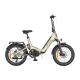 Saliekams elektriskais velosipēds ENGWE L20 3.0 Pro 250W 20\", zelta