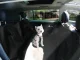 Automašīnas Sēdekļu Apvalks Paklājs Suņiem, Melns | Car Seat Cover Carpet for Dogs, Black