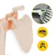 4Fizjo pleca locītavas anatomiskais modelis ar saitēm, 1:1 mērogs