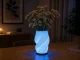 2-in-1 LED RGB galda lampa un vāze ar pulti, Ecru