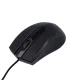 Maxlife MXHM-01 optiskā pele 1000 DPI 1.2m melna