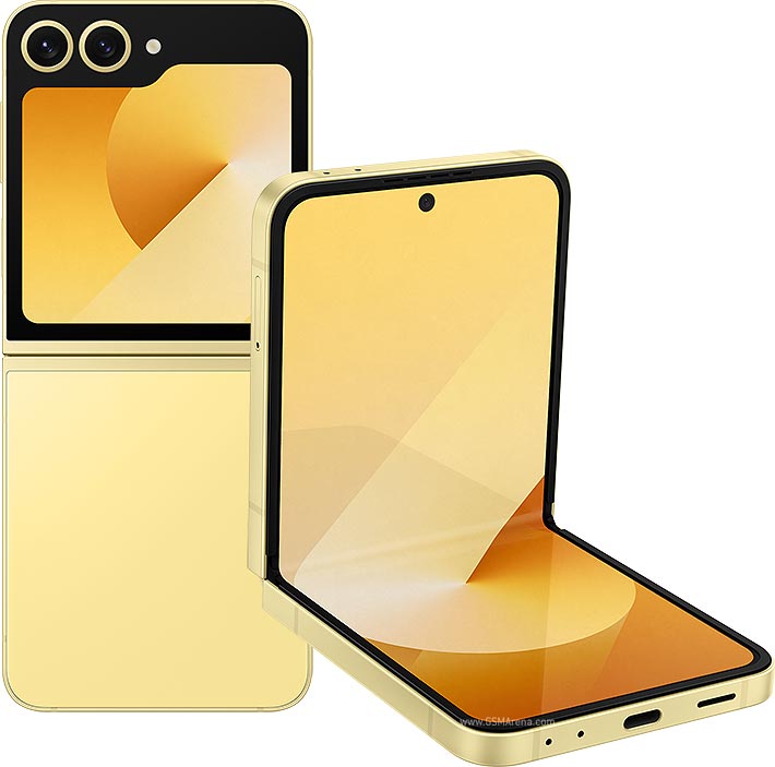 Galaxy Z Flip 6 ( SM-F741B/DS )