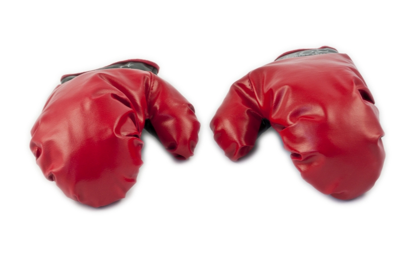 Bērnu Boksa Bumbieris ar Cimdiem | Kids Boxing Punch Pear with Gloves