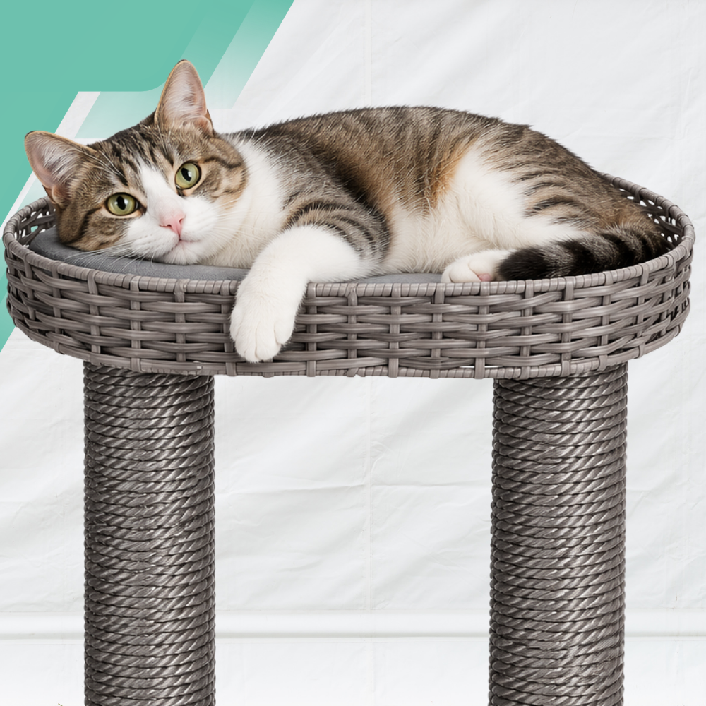 Karlie Nicky Outdoor kaķu nagu asinātājs ar mājiņu un platformu 77 x 57 x 110 cm