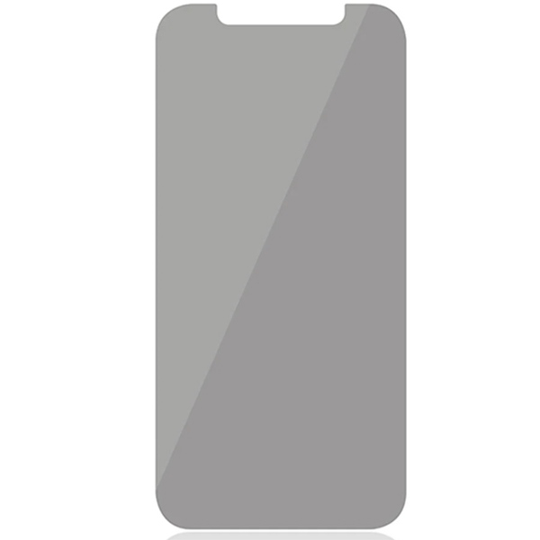 PanzerGlass Standard Fit rūdīts stikls privatizētam iPhone XR/11 tālrunim | tempered glass privatized for