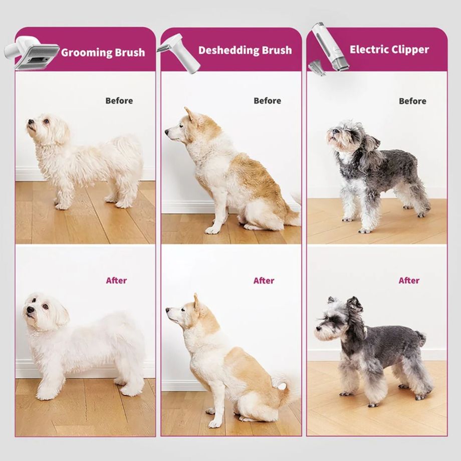 Dzīvnieku kopšanas komplekts PetKit AirClipper 5-in-1 1.4L