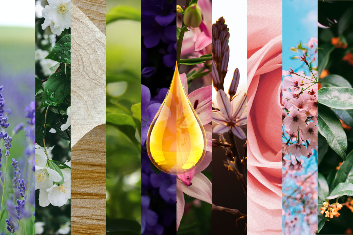 Ēterisko eļļu smaržu komplekts kastītē, 8 gabali | Essential Fragrance Oils