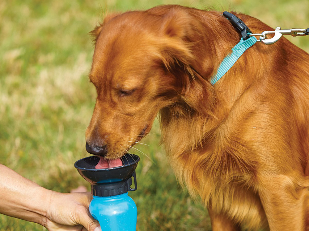 Ceļojumu Ūdens Pudele ar Dispenseri Suņiem Dzīvniekiem 0,5L | Portable Travel Water Bottle with Dispenser for Dogs...