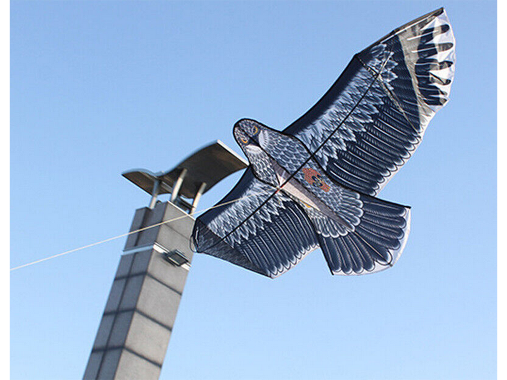 Lidojošais Pūķis Ērglis, 200cm | Flying Kite Eagle