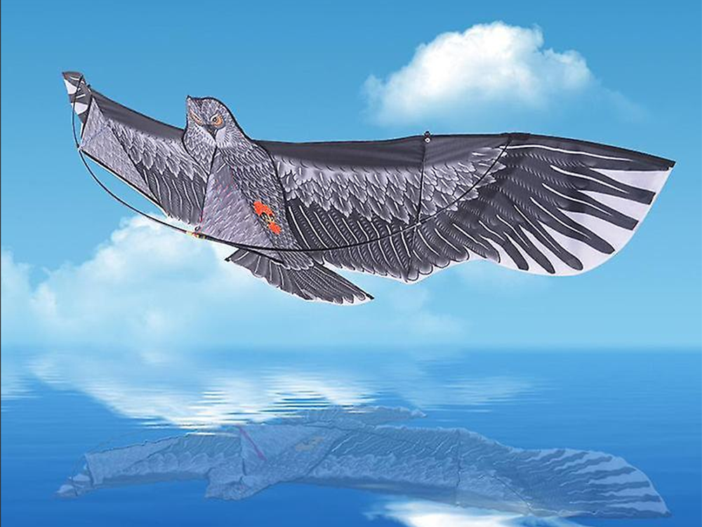 Lidojošais Pūķis Ērglis, 200cm | Flying Kite Eagle