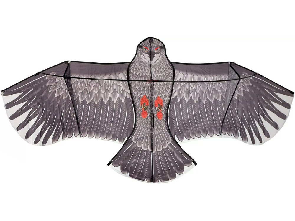 Lidojošais Pūķis Ērglis, 200cm | Flying Kite Eagle