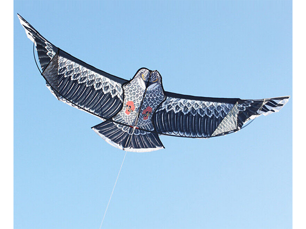 Lidojošais Pūķis Ērglis, 200cm | Flying Kite Eagle